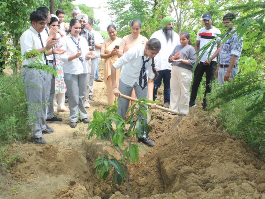 Sowing Seeds of Sustainability: SHCIS’s Green Initiative on Independence Day